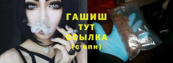 хмурый Абаза