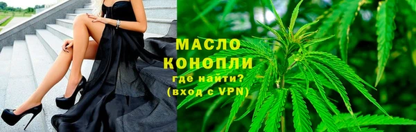 хмурый Абаза