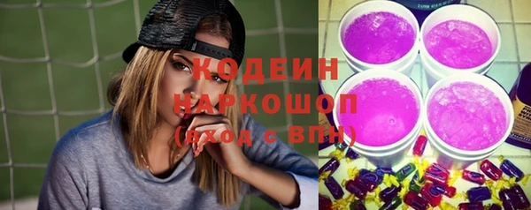хмурый Абаза